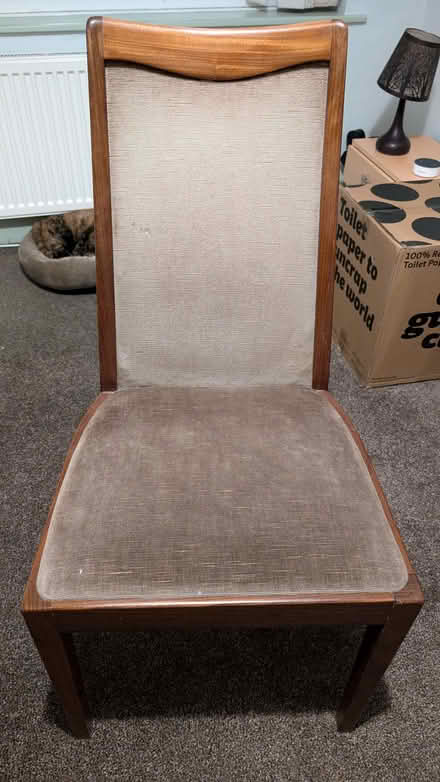 Photo of free 4x Dining room chairs (Upper Gronant LL19) #1
