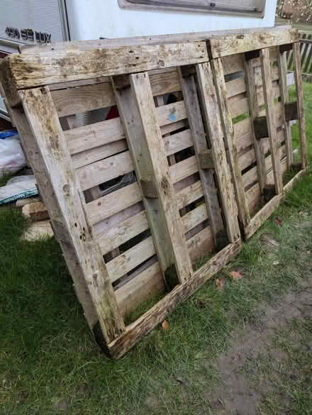 Photo of free Pallets (SG8) #2