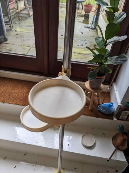Photo of free Plant stand floor to ceiling (SE3) #3