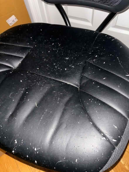 Photo of free Office chair (Eckington) #2