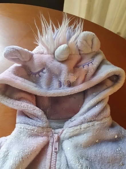 Photo of free Unicorn onesie (Bruntsfield EH10) #2