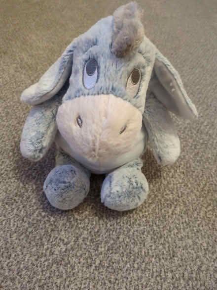 Photo of free Children's soft toy (Moorfields) #1