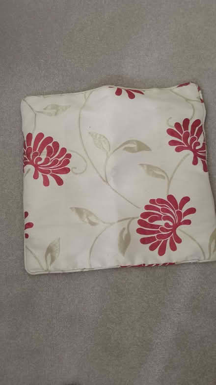 Photo of free Cushion cover (Emmbrook RG41) #1