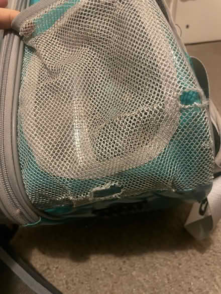 Photo of free cat carrier backpack (east hollywood) #1
