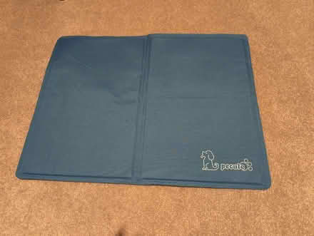 Photo of free Dog cool mat (Boxted CO4) #1