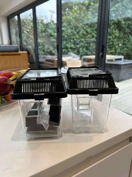 Photo of free 2x Cricket keeper (lawrence rd hampton, TW12) #1