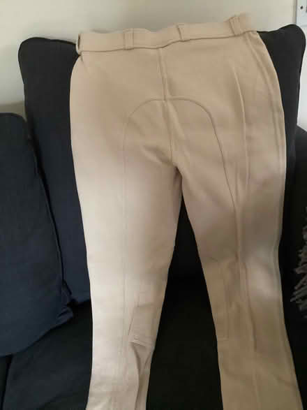 Photo of free Jodhpurs (Jericho OX2) #3