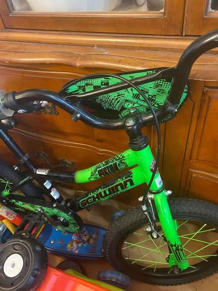 Photo of free Schwinn bike for kids (11379) #1