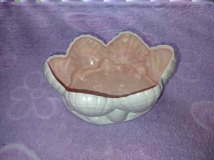 Photo of free Shell theme open ceramic dish (Sunrise- near City Hall) #2