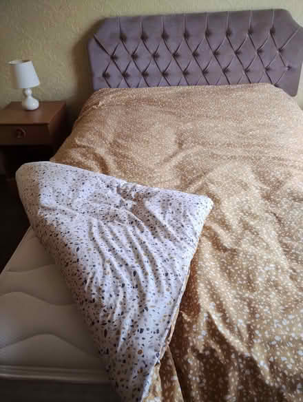 Photo of free Bed (Freehold LA1) #2