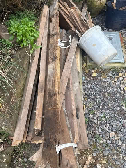 Photo of free Wood for burning/firepit (Lewes nevill) #1