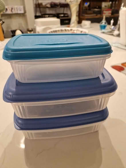 Photo of free Plastic food/storage boxes (Loughton IG10) #1