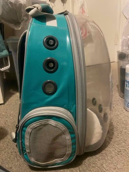 Photo of free cat carrier backpack (east hollywood) #2
