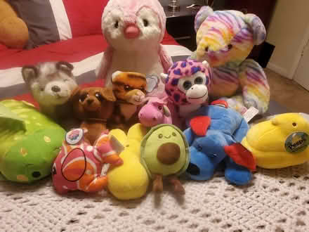 Photo of free Stuffed Animals (Georgetown) #1