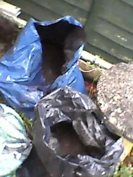 Photo of free soil (Box) #3