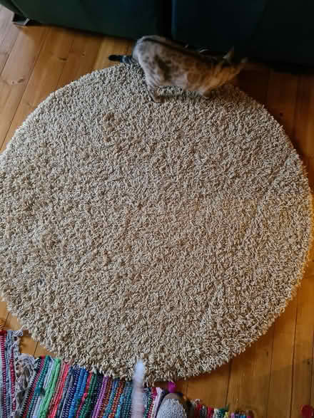 Photo of free Yellow circle tufted rug (BS5) #1