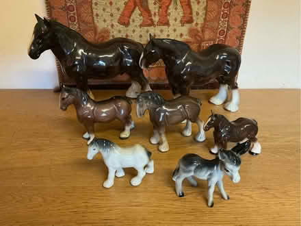 Photo of free Collection of ceramic horses (Hadleigh SS7) #1