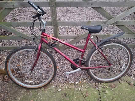 Photo of free Ladies bike (TF9) #1