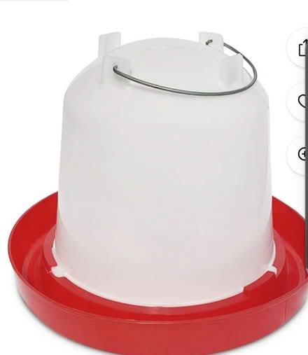 Photo of ๐Chicken Waterer /feeder/ light (Collins Mtn Rd, Chapel Hill) #1