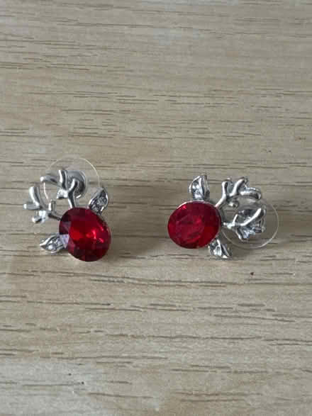 Photo of free Reindeer earrings (Oldham OL9) #2