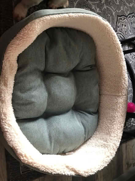 Photo of free nearly new dog bed (Bedworth CV12) #2