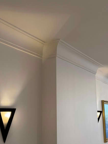 Photo of free Coving - 12 meters (Radlett, Herts, WD7) #3