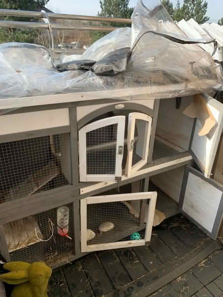 Photo of free Rabbit hutch (SG1) #2