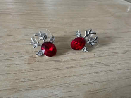 Photo of free Reindeer earrings (Oldham OL9) #1