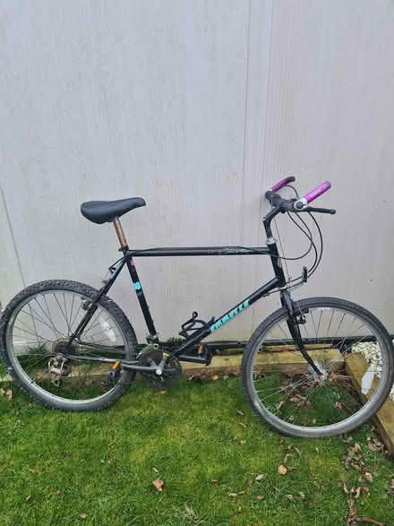 Photo of free mountain bike (Dalkeith EH22) #1