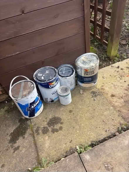 Photo of free Used paint (B68) #1