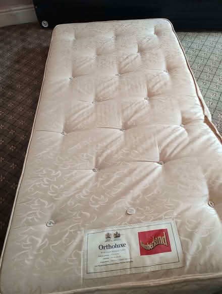 Photo of free Single bed (Freehold LA1) #2