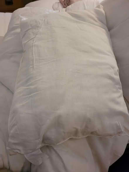 Photo of free 4 pillows (Wimborne,Colehill) #1