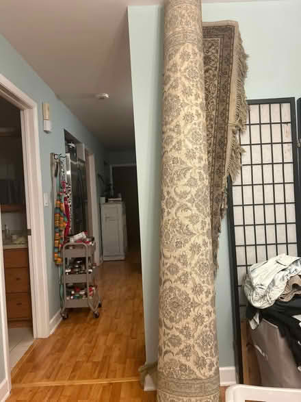 Photo of free Area rug (La grange il) #2
