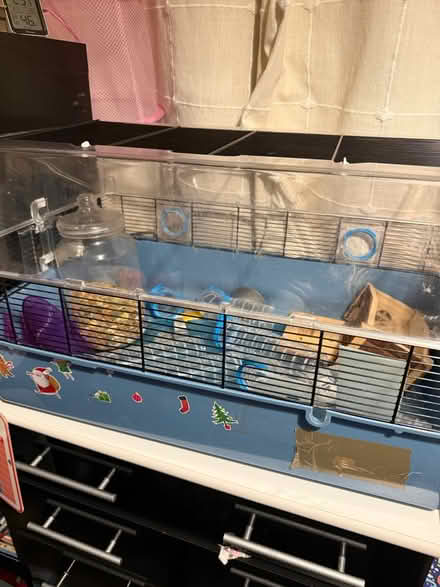 Photo of free Pet bits (RG5 woodley) #1