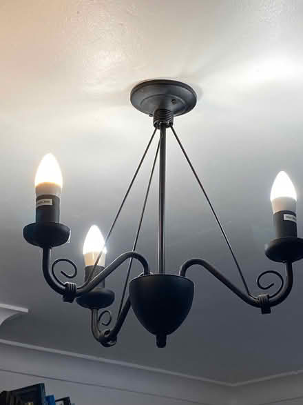 Photo of free Light (Lye Valley OX3) #1