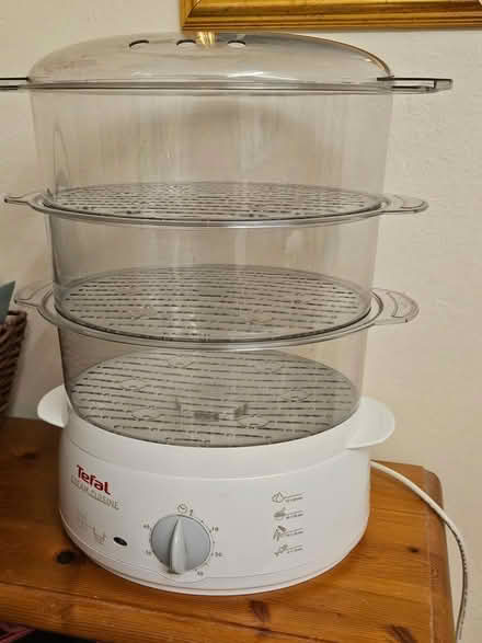 Photo of free Teal 3 tier steamer (Ashtead) #1