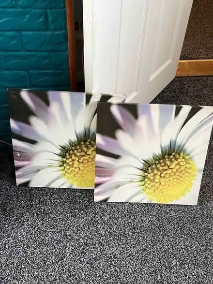 Photo of free Canvas x2 (Twydall ME8) #1