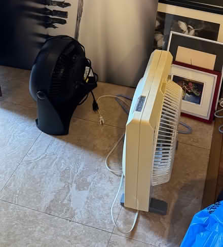 Photo of free Fan (Encinitas) #1