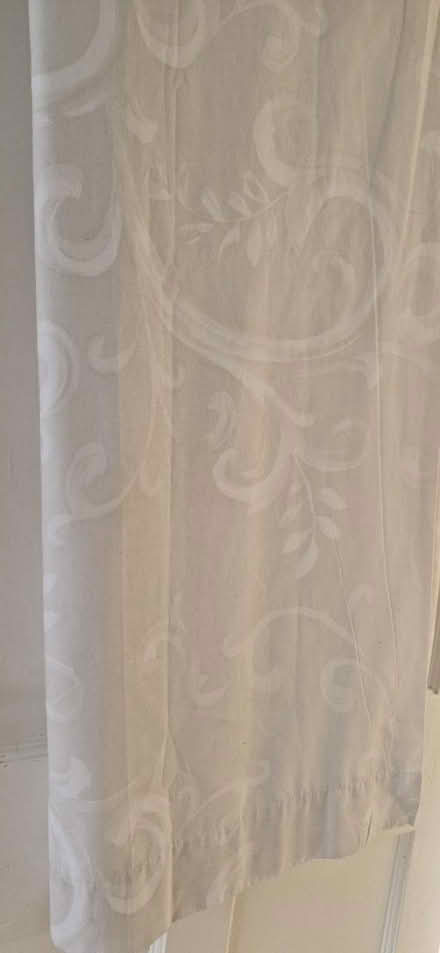 Photo of free Curtains (Birmingham B14) #1