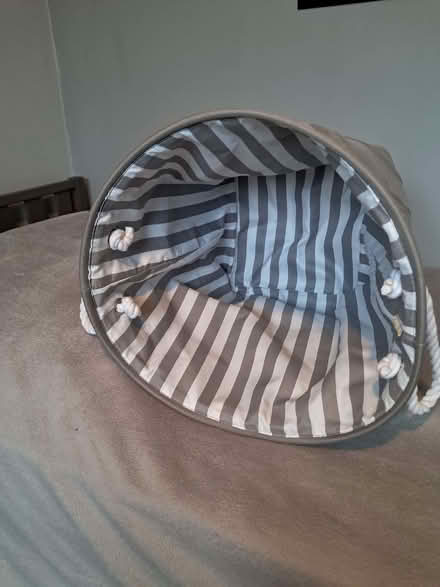 Photo of free Grey Laundry bin (Lower Earley RG6) #2