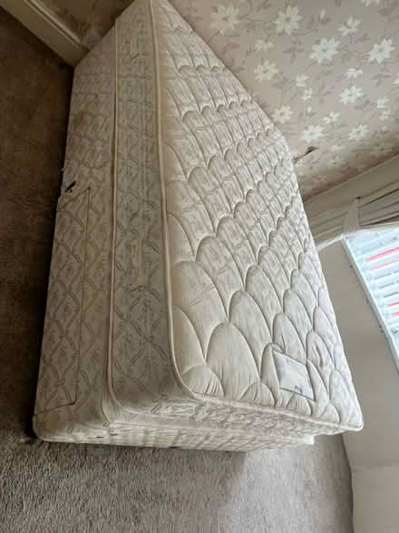 Photo of free Double bed divan (CH44) #1