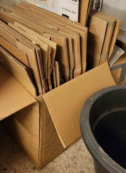 Photo of free Sturdy moving boxes (S12 Gleadless Common) #2