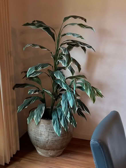 Photo of free Fake silk plants with pots (Encinitas) #1