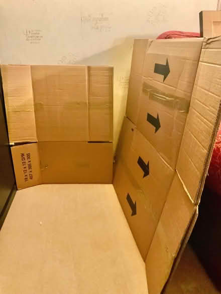 Photo of free Cardboard packing boxes (Newport East PO30) #1