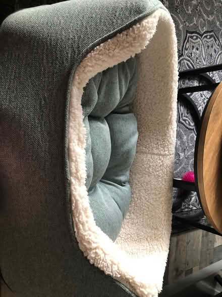 Photo of free nearly new dog bed (Bedworth CV12) #3