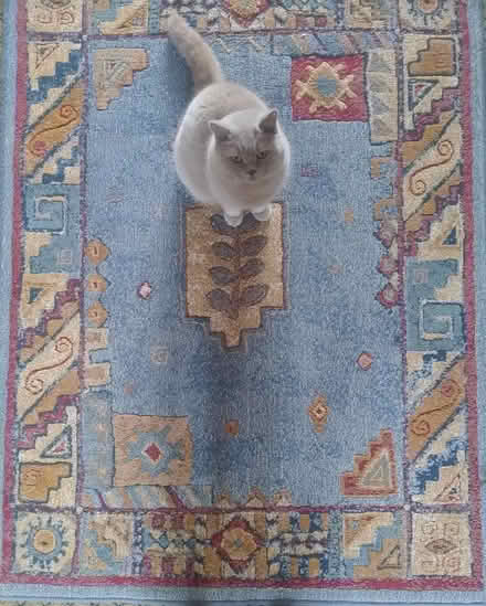 Photo of free Rug - good condition (Amersham Common HP7) #2