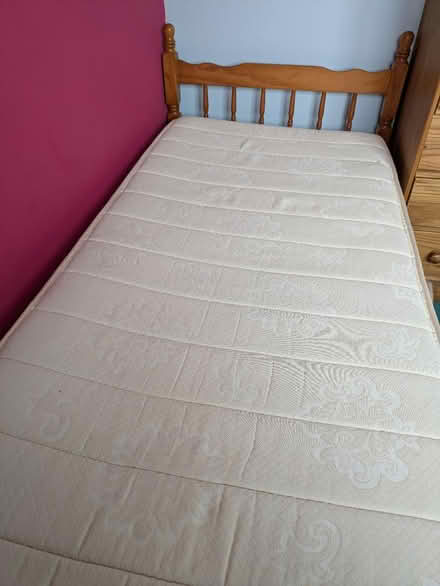 Photo of free Single Bed- Pine (SS9) #1