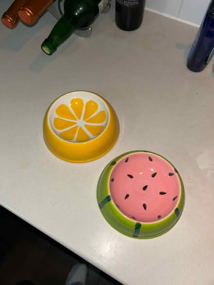 Photo of free Pet bowls (Muswell Hill - N10) #1