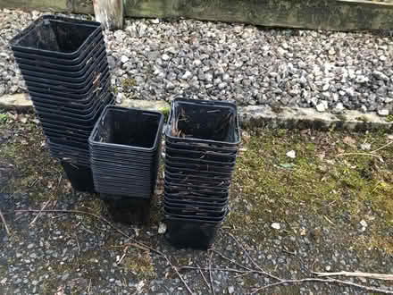 Photo of free 50 + 9cm square plant pots (Natland LA9) #1
