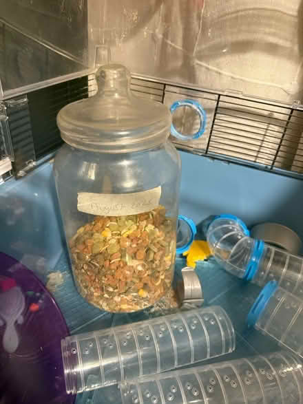 Photo of free Pet bits (RG5 woodley) #3